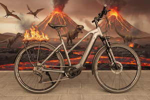 Conway Cairon T 300 E-Trekking Bike, RH L, Secondhandbike