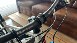 Liteville H-3 MK4 Limited 29 Zoll XL, Hardtail MTB, works finish 11 KG leicht