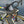 Laden Sie das Bild in den Galerie-Viewer, Specialized Venge Peter Sagan Edition 2.Hand-Bike, geile Farbe
