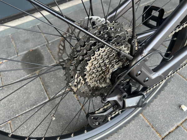 Riese + Müller Delite GT Touring 51 cm, 2.Hand-Bike nur 1000 KM