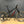 Laden Sie das Bild in den Galerie-Viewer, Liteville CE 301CE Pro E-MTB, 2. Hand-Bike, nur 950 KM, Zustand 1-
