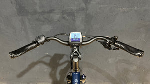 Victoria Manufaktur 10.8 E-Trekking Bike, RH L, Secondhandbike, nur 650 KM Laufleistung