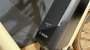 Riese & Müller Cruiser Vario Secondhandbike, Gebrauchtrad, Zustand 2