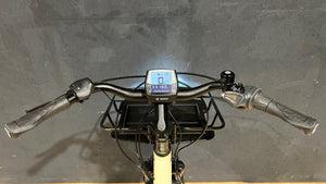 Riese & Müller Cruiser Vario Secondhandbike, Gebrauchtrad, Zustand 2