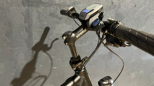 Rose Xtra Watt E-Bike, Secondhandbike, Gebrauchtrad, Zustand 2+