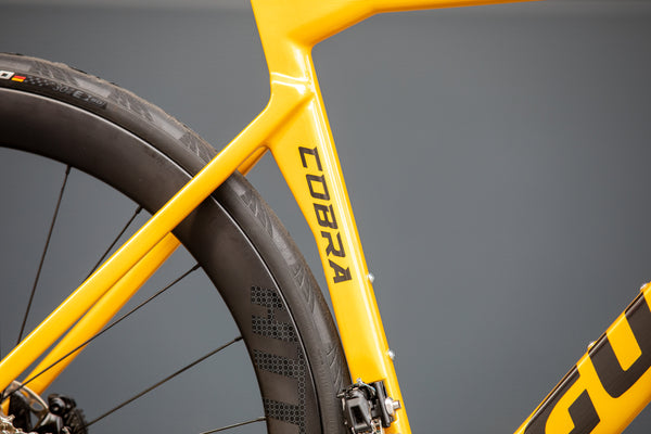 Gusto Cobra Evo DB "Pro TE" Team Gold