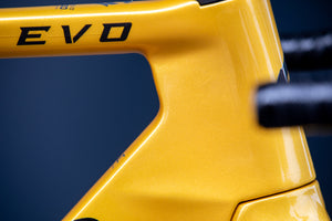 Gusto Cobra Evo DB "Pro TE" Team Gold