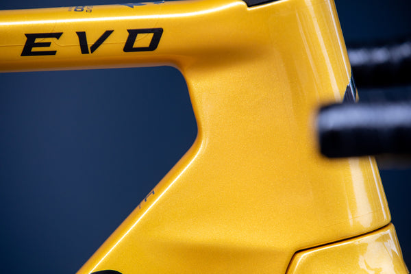 Gusto Cobra Evo DB "Pro TE" Team Gold