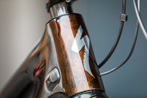 Specialized S-works Turbo Levo SL 2 Carbon, SONDERPREIS