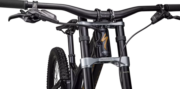 Specialized Demo Expert Downhillbike NEU