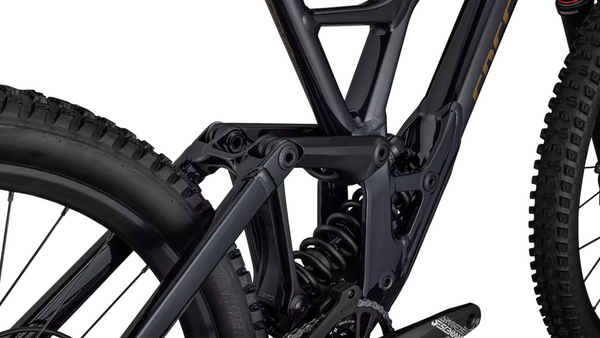 Specialized Demo Expert Downhillbike NEU