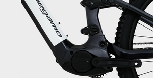 Megamo Ryal 10 Alu E-MTB
