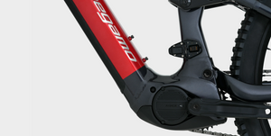 Megamo Ryal 10 Alu E-MTB