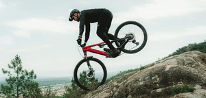 Megamo Ryal 10 Alu E-MTB