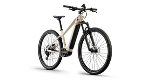 Conway E-MTB Hardtail Cairon S 1.0