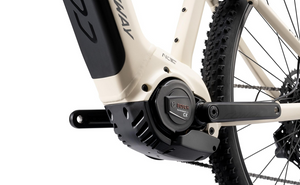 Conway E-MTB Hardtail Cairon S 1.0