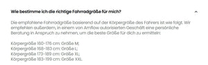 Amflow PR Carbon E-MTB