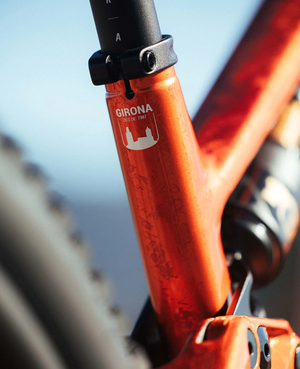 Megamo Reason CRB 01 Carbon E-MTB, Testbike im Haus