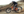 Megamo Reason CRB 01 Carbon E-MTB, Testbike im Haus