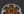 Hope Floating Disc Orange