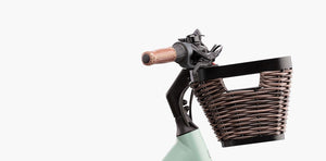 Riese & Müller Swing4 Silent, Testbike zum SONDERPREIS