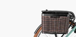 Riese & Müller Swing Silent inclusive abnehmbaren Frontkorb und Zusatzschloßkette