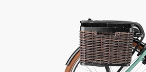 Riese & Müller Swing4 Silent, Testbike zum SONDERPREIS