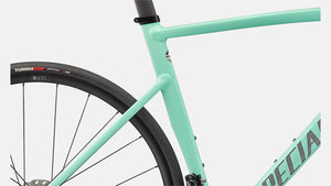 Rennrad Specialized kaufen Lübeck Hamburg Ostsee Inspektion Fahrrad