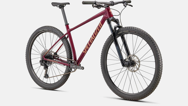 Mountainbike Specialized kaufen Lübeck Hamburg Ostsee Inspektion Fahrrad