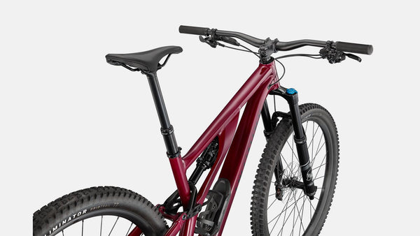 Specialized Stumpjumper Evo Comp Alloy (Alu)