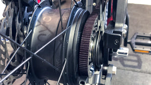 Bikeservice: Getriebewartung Enviolo