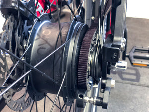 Bikeservice: Getriebewartung Enviolo